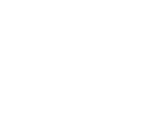 Logo Convalis
